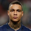 Gregory van der Wiel
