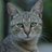 a26801987's profile image