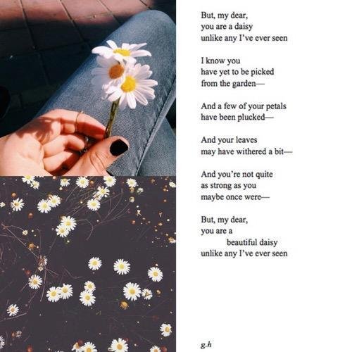 i thought i was in love, but it was just the way you looked in the light✿