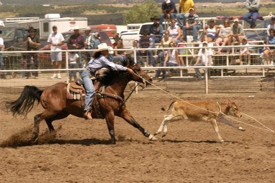 mares are better