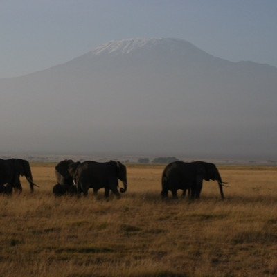 day_harvey's profile picture. 