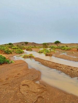مواطن يتقن. حب الوطن

مواطن   يحب. سلمان.    وولي عهده. محمد 

ليس لي 
اماني  سوى  الانكفاء  على تنقيح ثقافتي