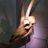flounderguts's profile image