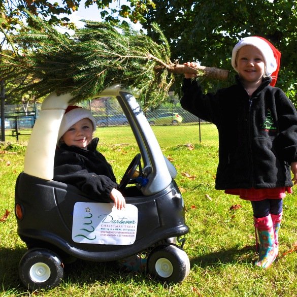 Dartmoor Christmas tree farm is local, ethical family-run business based on 20 acres of land in the heart of dartmoor.