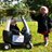 dartmoor_trees's profile image