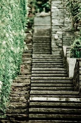 NinoAlge's profile picture. 