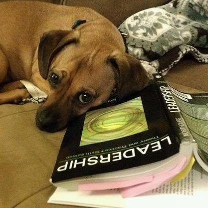 MBussResLife's profile picture. Director of Residence Life at Nichols College