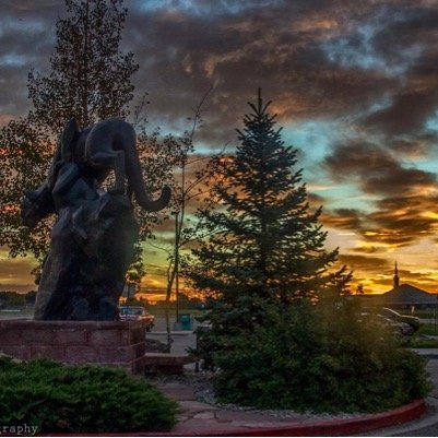 kmyng's profile picture. 