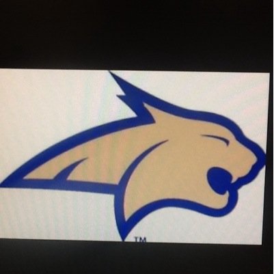 plevna5's profile picture. Educator of 29+ years, First-grade at this time, MSU- BOBCATS fanatic fan, crazy country mom!  Seesaw Ambassador