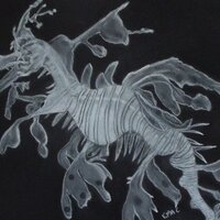 Liz Simrajh (@lizmac77) 's Twitter Profile Photo