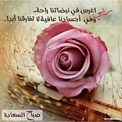 FADY__909's profile picture. 