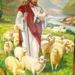 yehiahenin's profile picture. 