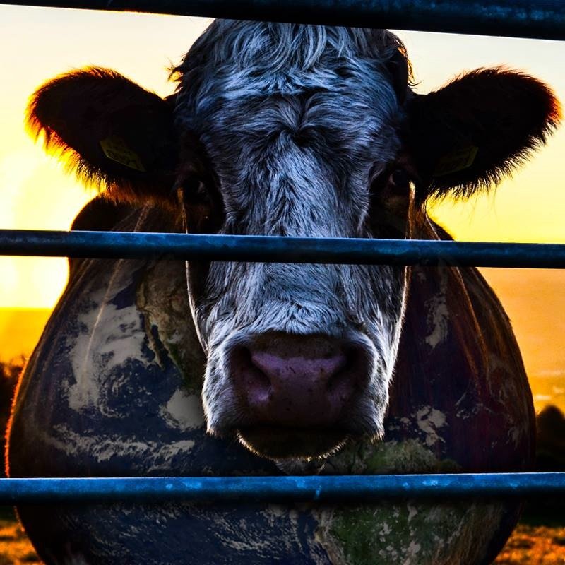 Cowspiracy