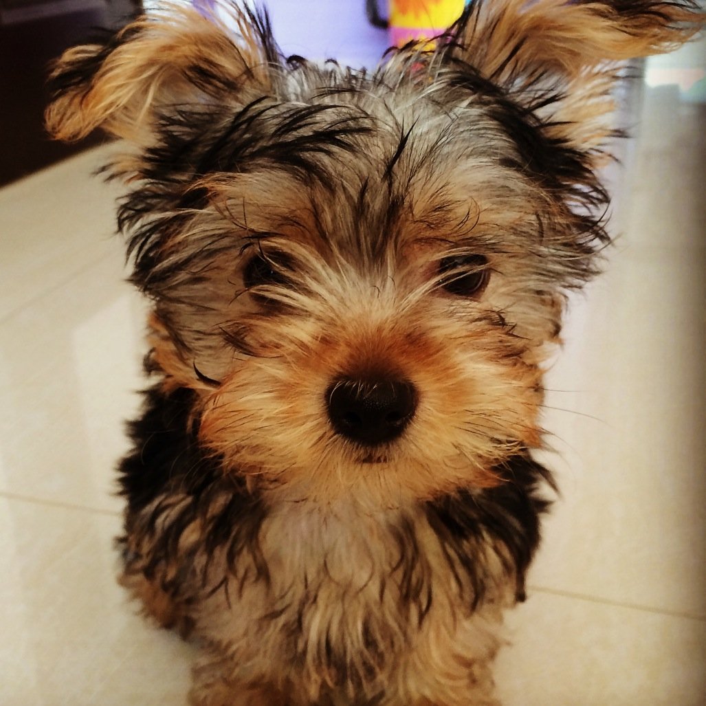 brendiux222's profile picture. 