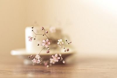 ♡♥♡