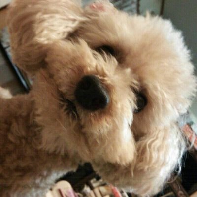 ankun00ankun's profile picture. 趣味　京都　大阪　銭湯通い