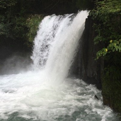 1308TY's profile picture. 