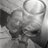 bobschalkwijk's profile image