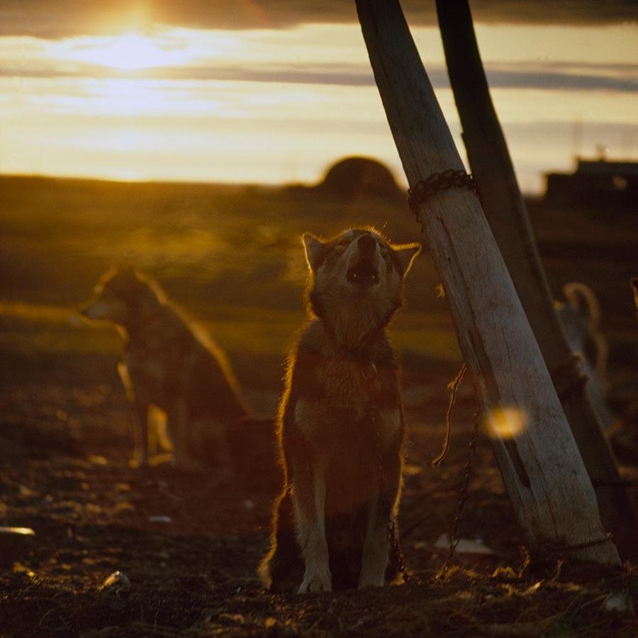 The most breathtaking pictures you will ever see.