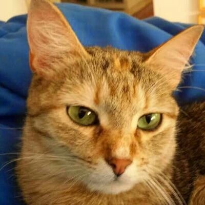 6303f12d6d794e1's profile picture. 