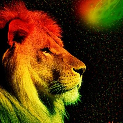 Traveling hippy spreading reggae news and promoting shows in myrtle beach and other cities near by! #OneLove #JahBlessUsAll #live&local