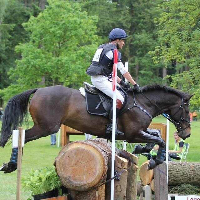 Bright Business Intelligence - Eventing Rider