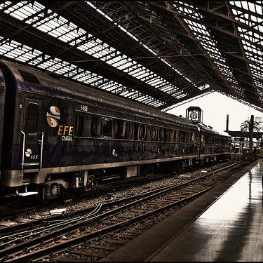 trenalSur3's profile picture. 