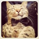 Michael Compton - @ComptonMichaelL - Twitter