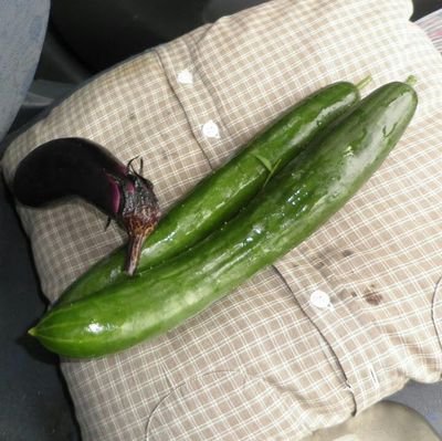 harum11g's profile picture. 