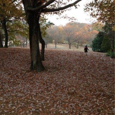 子供たちと一緒に、母も受験生頑張ります。