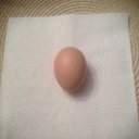 Michael Calcutt - @growfromhome - Twitter