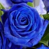 Yasuhiro518 (@yasuhiro518) 's Twitter Profile