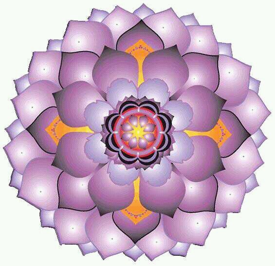 josewj58's profile picture. soy orgullosamente Gocho