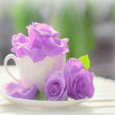 ‏ليس كل مافي خواطرنا يقال ..وليس كل مايقال مقصود..وليس كل مايكتب واقع نعيشه..¤زورو مفضلتي