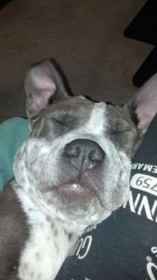 rbeamish5's profile picture. 