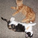 Donna Flint - @CloudHuggers - Twitter