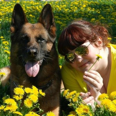 Soy raquel, una romantica empedernida sigo a @noeliaGitanos @GitanosCharly me encantan!Amo a mi perro :)