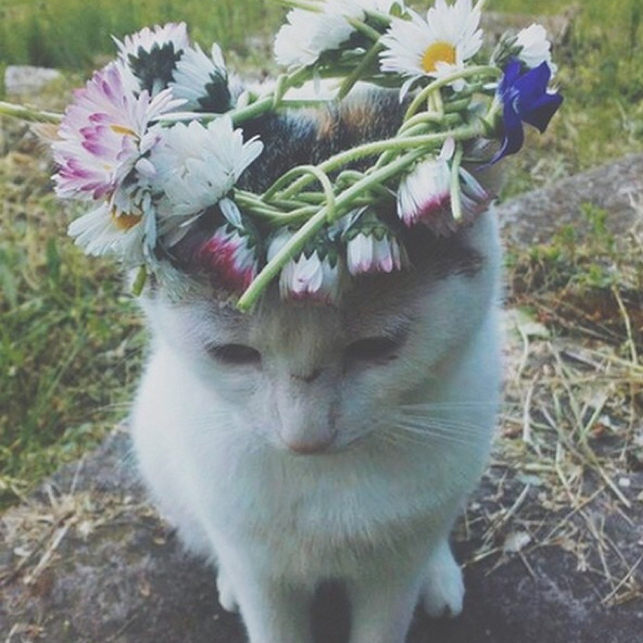 سبحان الله وبحمده سبحان الله العظيم