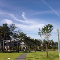 최미림 (@mirim521) 's Twitter Profile