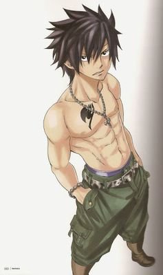 I'm Gray Fullbuster, are member of the Guild Fairy Tail.I am always haunted by Juvia, who apparently is in love with me (....)
Ice Make
Lyon
UI (20 years)