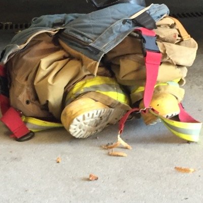 ecole33's profile picture. 