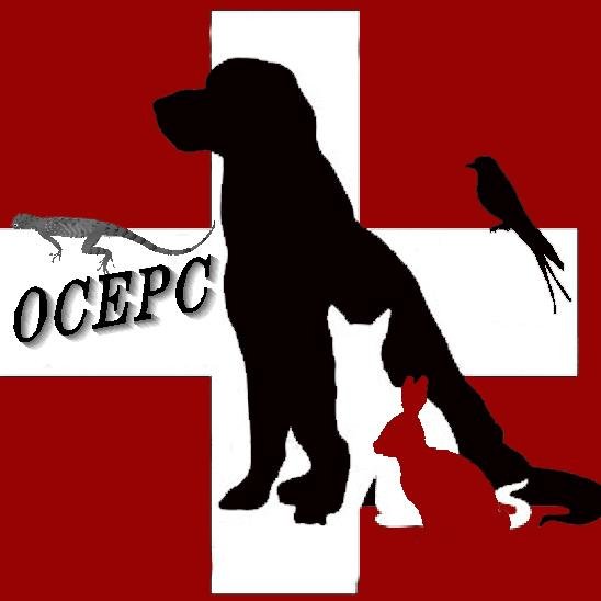 We provide quality after-hours care for your pet.