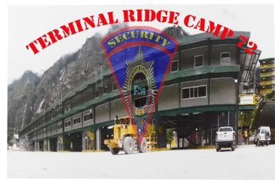 yangobai29's profile picture. 