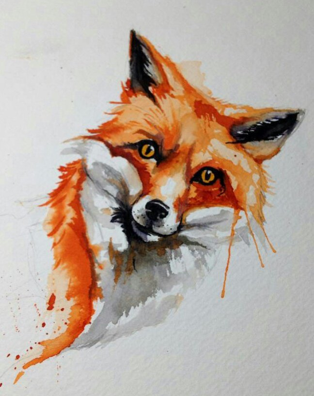 admneto's profile picture. Sou louco por ti Cruzeiro, minha primeira e eterna paixão!