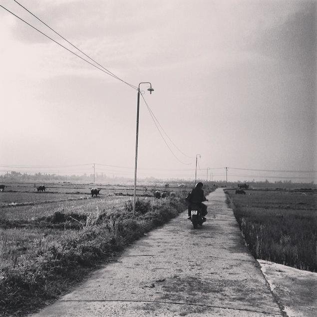 rcforst's profile picture. Contributor @emerinngroup. Living and working in Vietnam.  Passionate about #globalhealth, #education, #socent. Addicted to good food and travel.