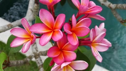 traveltigers's profile picture. Regional Security Risk Management Advisor Asia Pacific @ GIZ 
"Amazed about the possibilities if we get it right!"