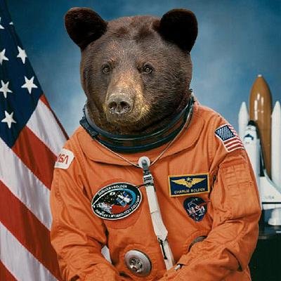I am an actual real life bear on the internet.