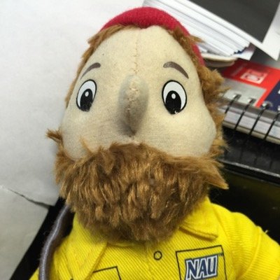 I support Lumberjacks, Beards, Parramatta Eels and the end of the Hipsters