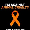 Elizabeth Ann Reeves - @mollyreeves45 - Twitter