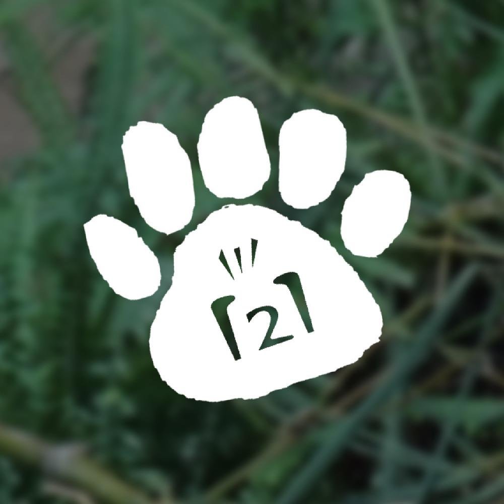 Everyone likes Panda! Everyone has a story that connects, even for the Giant Pandas! We share news and pandastic stories of #Panda at 121adventure!